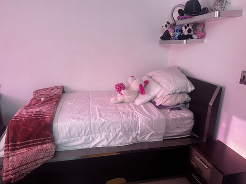 Juego De Cuarto Individual De 2 Cama (Usado)