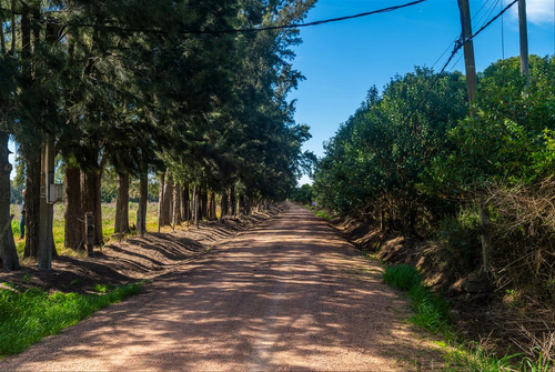 Venta Chacra 28 Ha Abayuba Arroyo Y 2 Tajamares C.rigel