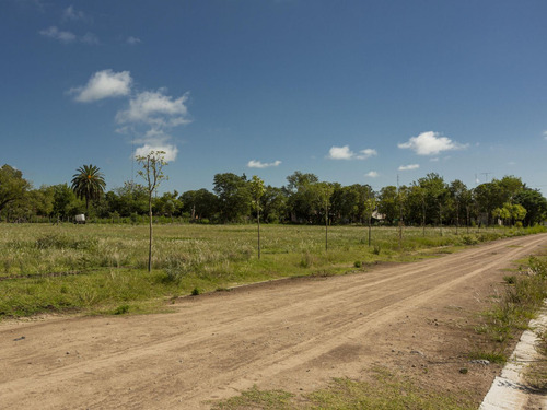 Lote 5 Villa Chica