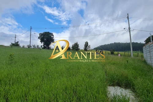 Imagem 4 de 13 de Terreno - Te00070 - 70750392