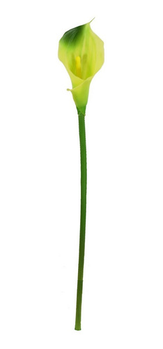 Varas De Alcatraz Artificial De Silicon Decoración Pack 6 Pz Color Verde