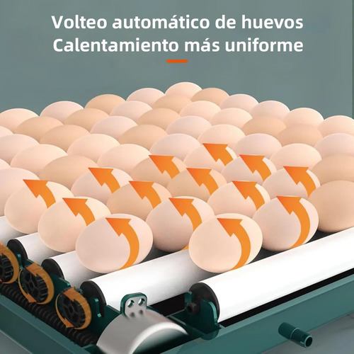 Incubadora 64 Huevos Automatico De Pollos Y Aves Corral