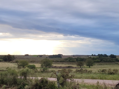 Imagen 19 de 20 de Venta De Hermosas Chacras: Barrio De Chacras El Colorado De Migues Ruta 88 A 10 Km. De Tapia Y 5 De Migues.
