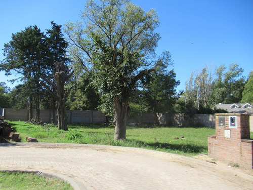 Imagen 1 de 11 de Terreno  850 M2 En Pequeño Barrio Cerrado- Las Lomas-horqueta. San Isidro