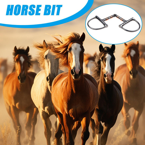 Hx Anillo D De Broca De Filete De Caballo Broca De Caballo