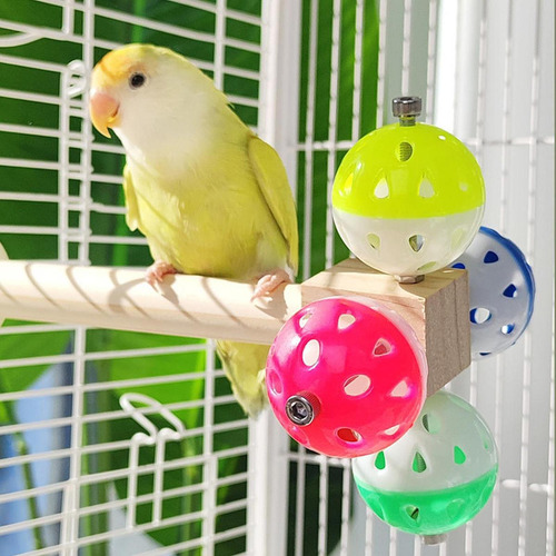 Rama De De Pájaros Perioete De Juguete De Madera Jugando