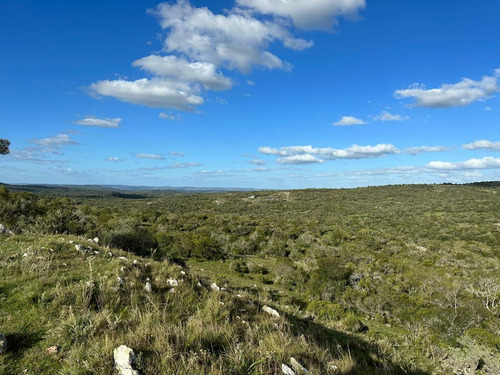 Oportunidad Chacras 5 Hectareas En Maldonado. Sierras De Aigua, Ruta 109. Con Arroyo, Cañadas, Monte Nativo.
