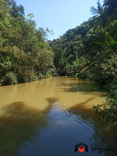 Imagem 13 de 15 de Sitio Familiar Com 3 Lagos Para Psicultura Em Miracatu-sp - 946