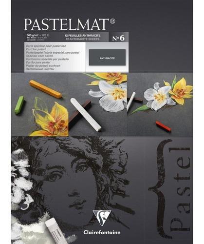 Papel Para Pastel Clairefontaine Pastelmat Nº6 30x40cm