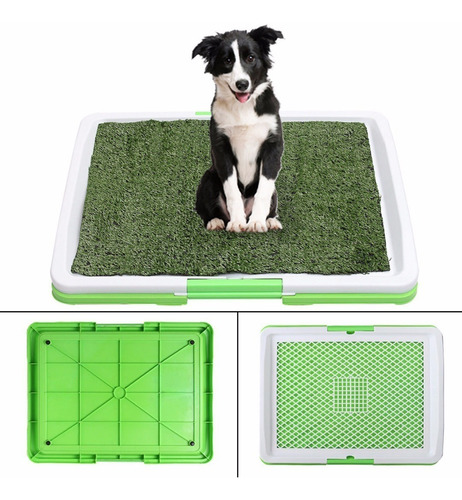 Tapete Grama Artificial Para Perros Cachorros 47 Cm