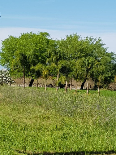 Venta Quinta Con Estanque Propio
