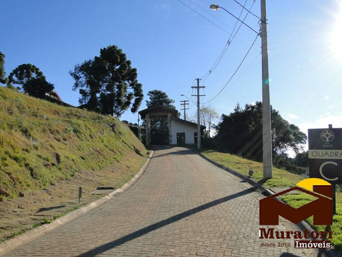 Imagem 14 de 15 de Lote Em Condomínio - 2045