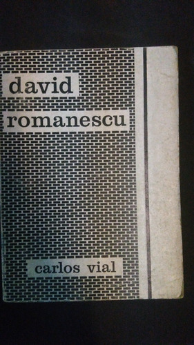 David Romanescu / Carlos Vial 