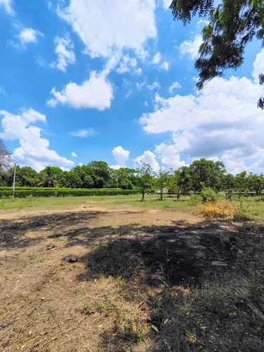 Lote De 5000m2 Santo Tomas (cm&d142).