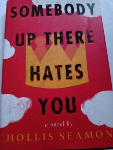 Somebody Up There Hates You Hollis Seamon Novela En Inglés