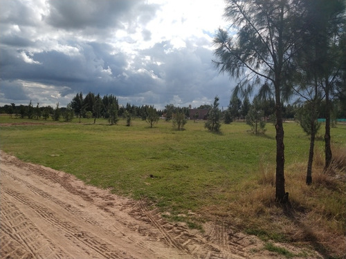 Lotes/terrenos Cañuelas 950m2 Y 1250m2