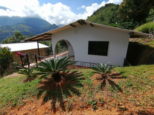 Se Vende Hermosa Casa Lote Campestre En El Municipio De Ebéjico. Escrituras Proindiviso, Ubicada A Solo 45 Minutos De Medellín Y 15 Minutos De La Autopista 4g  Medellín Santa Fe De Antioquia