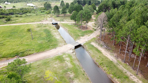 Imagen 11 de 30 de Lotes A La Venta En La Aldea Club De Campo - Colon Entre Rios Desde Usd 38.000!