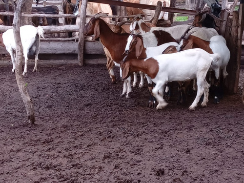 Campo Sobre Ruta