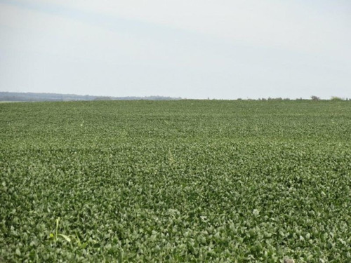 Campo En Venta En Solís De Mataojo