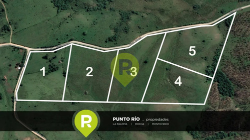 Campo En Rocha,