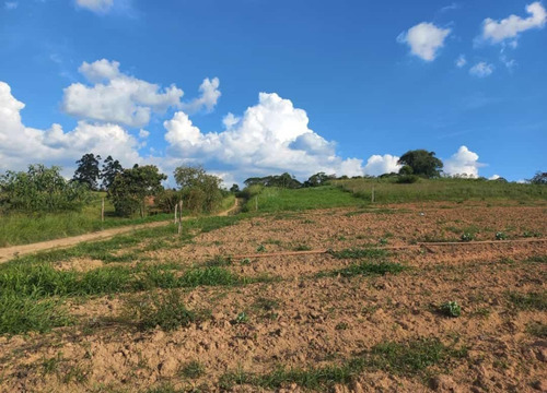 Imagem 3 de 30 de 20o Terreno A Venda Para Investimento