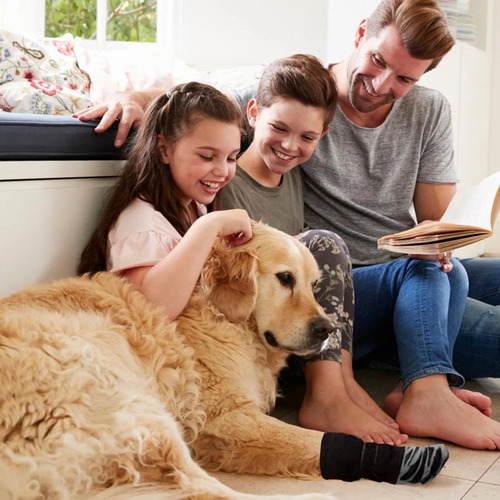 Calcetines Perros Con Garras Protección Antideslizante Patas