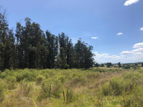 Oportunidad! Campo 7,93 Hectáreas En Camino De Los Ceibos