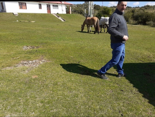 Campo Financiado