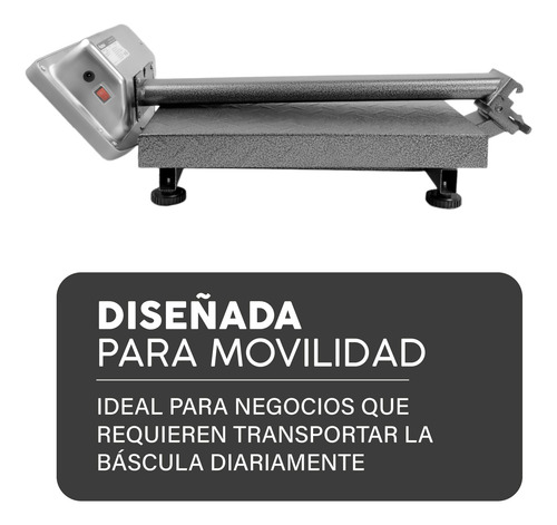 Báscula Industrial Rhino Baple-100, 100 Kg, Mástil Incluido Gris Oscuro