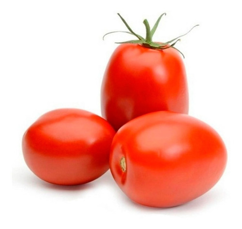 Semillas Hortalizas Tomate Santa Clara Fercon