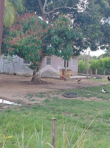 Imagen 1 de 16 de En Venta Finca En Maturin