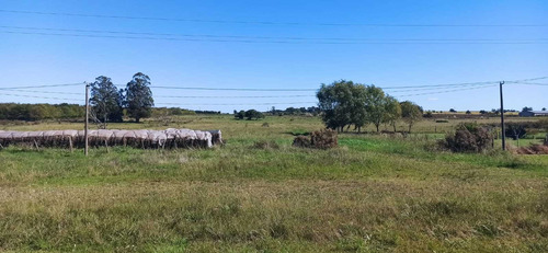 Venta Sauce Ruta 6 Km 44 , 8 Hectáreas, Tajamar