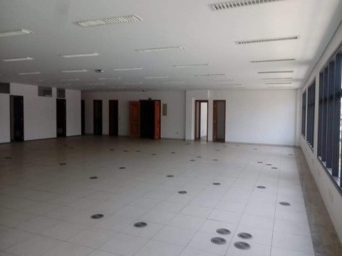 Imagem 12 de 30 de Locação Predio Comercial Campinas Bairro Cambui - Pr00067 - 1998153