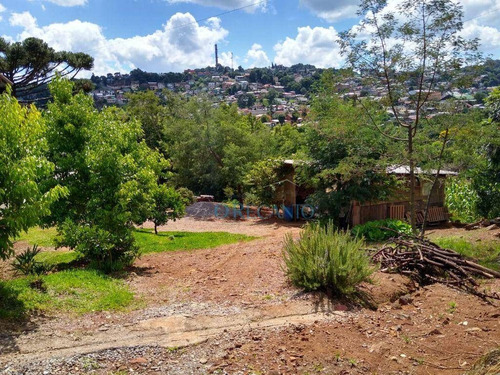 Imagem 13 de 15 de Terreno À Venda, 1259 M² Por R$ 660.000,00 - Piratini - Gramado/rs - Te0728
