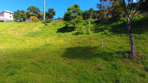 Imagem 3 de 15 de Lotes Exclusivos No Cônego - Lote 01 - 245