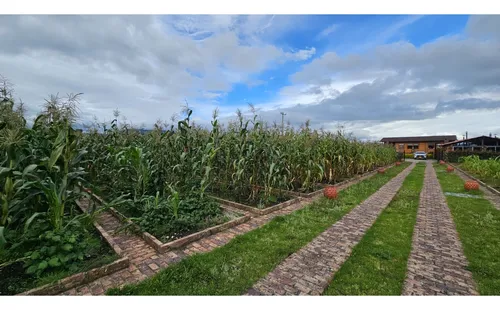 Venta Finca En Cogua Via Zipaquirá Nemocón