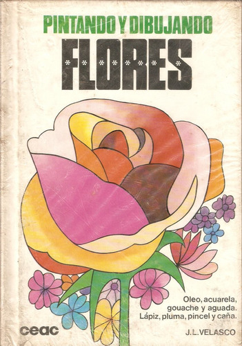 Pintando Y Dibujando Flores  Jose Luis Velasco