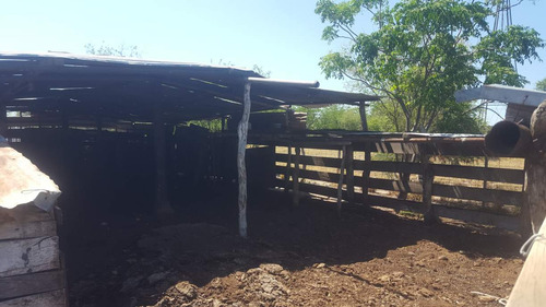 Campo En Venta Villa Quilino - Campo Ganadero Con 2 Casas