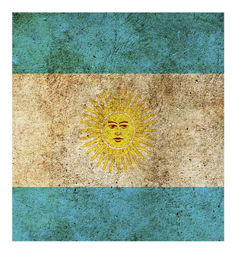 Vinilo 45x45cm Bandera Argentina Patria Nacion Celeste P5