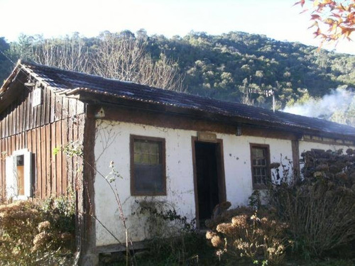 Sítio - Rancho Queimado - Sc - 1115
