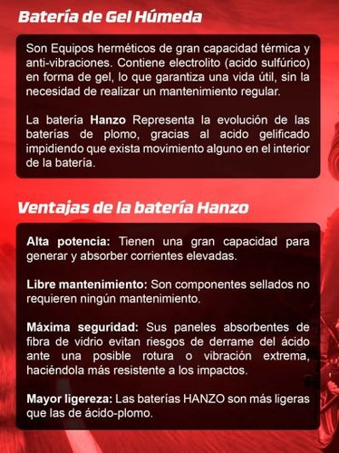 Bateria Gel At110lt 2021 - 2022 - 2023 Ytx4l-bs Alta Calidad