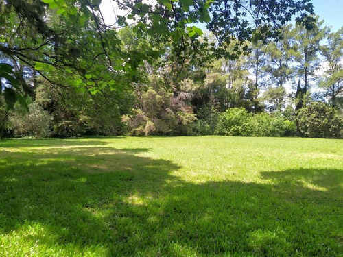 Imagen 23 de 30 de Retasada Venta Casa Quinta Internet -gran Lote 2835m El Remanso Arboleda 40mx72m