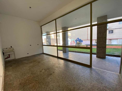 Imagen 3 de 5 de Local Para Oficinas/showroom