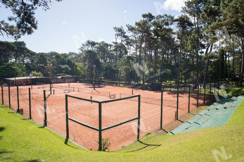 Imagen 24 de 26 de Hermoso Apartamento Esquinero En Zona Arbolada En La Parada 18 De La Mansa - Punta Del Este Mansa