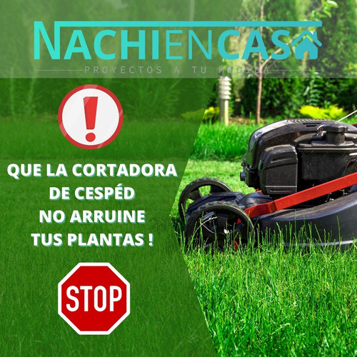 Imagen 10 de 10 de Flejes Canteros Chapa Para Bordes Y Caminos 3u De 100x6.5cm