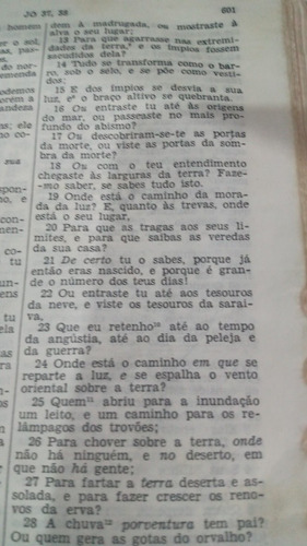 Imagem 1 de 7 de Dódge Pata-choca Dodge