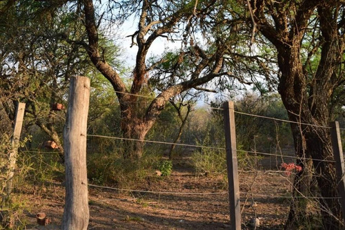 Imagen 6 de 20 de Campo En Las Calles Con Luz Agua Y Alambrado