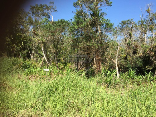 Imagem 6 de 8 de Terreno - Venda - Indaia - Itanhaem - Ita2701