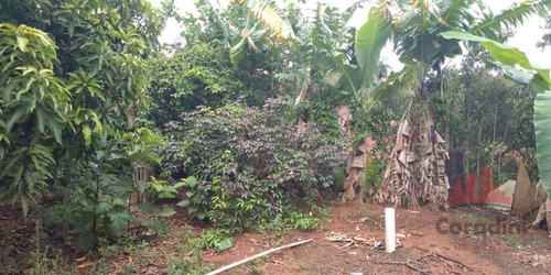 Chácara Com 2 Dormitórios À Venda, 3000 M² Por R$ 500.000,00 - Chácaras De Recreio Represa - Nova Odessa/sp - Ch0142